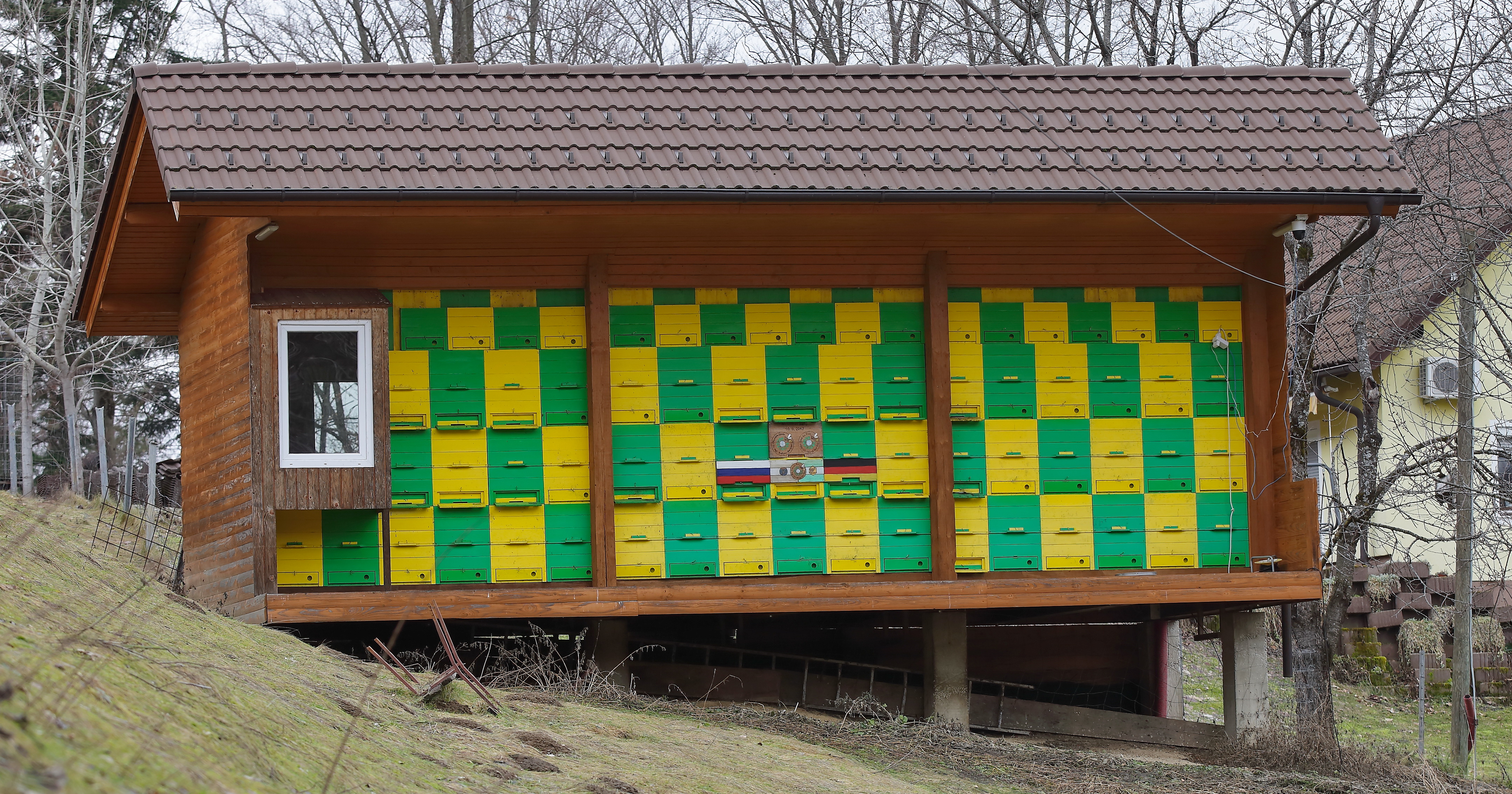 Rows of wooden beehives in sunny meadow with mountains in background